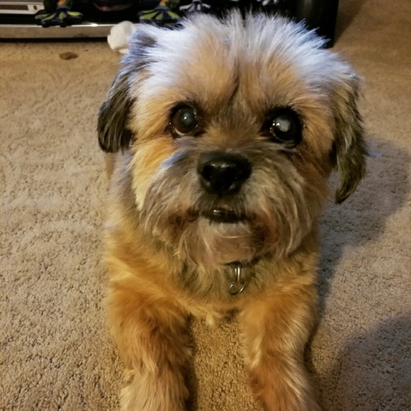 Meet your Posher, Denyse - Picture 2 of 3